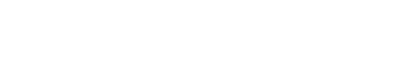 Official Trekking Pole Partner